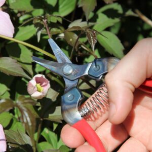 ΨΑΛΙΔΙ ΦΡΟΥΤΩΝ 160mm ARS ΚΥΡΤΟ