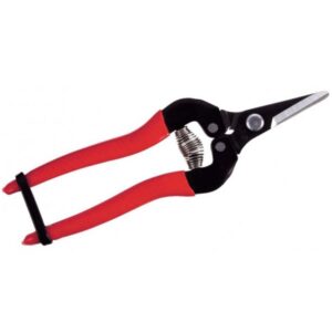 Ψαλιδι τρυγου